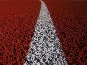 爱游戏体育app-田径项目专项训练成效显著，田径专项体能训练